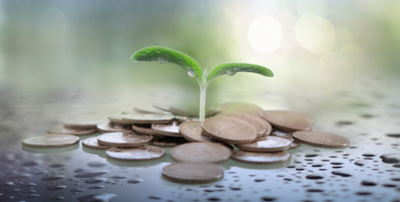 Netsure Advisory Services -  Financial Planning