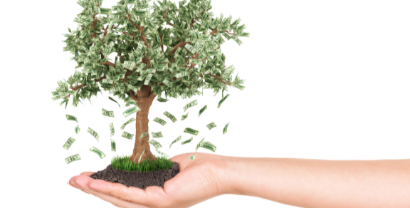 Netsure Advisory Services - Investment Planning